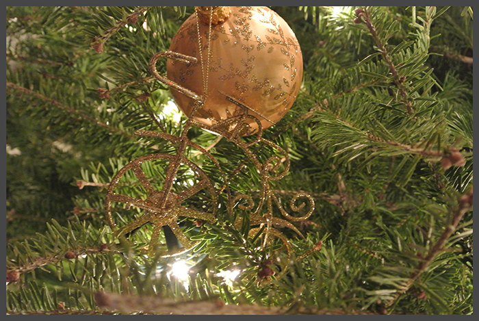ornament party 2